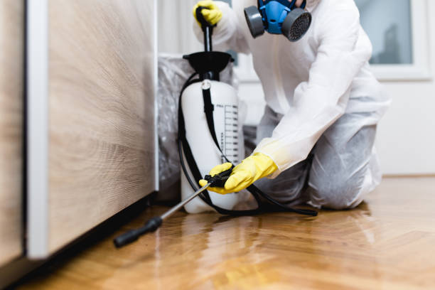 Best Residential Pest Control  in Hermitage, PA