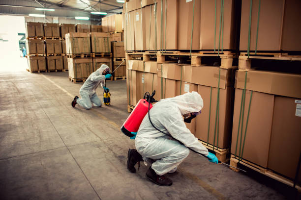 Best Exterminator Services  in Hermitage, PA