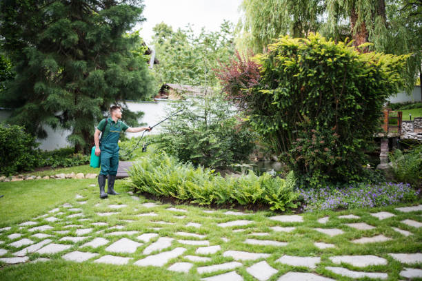 Best Best Pest Control Companies  in Hermitage, PA