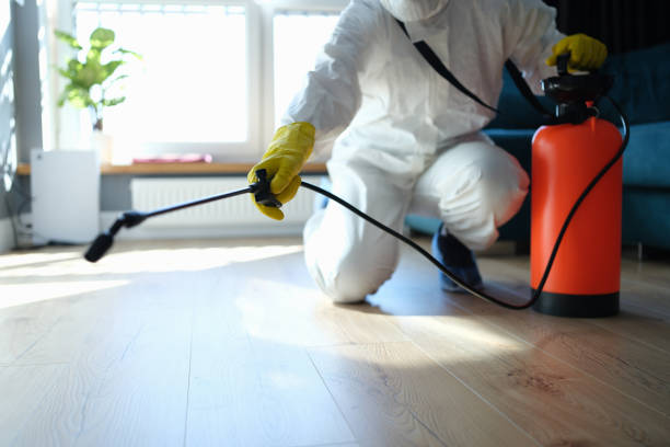 Trusted Hermitage, PA Pest Control Experts