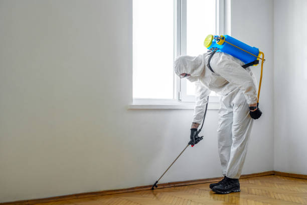 Best Local Pest Control Services  in Hermitage, PA