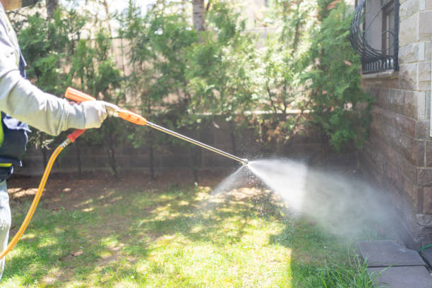 Best Spider Control Near Me  in Hermitage, PA