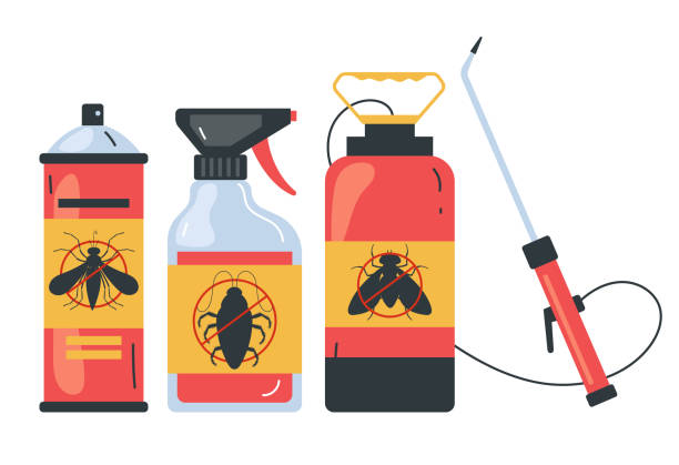 Best Termite Control Services  in Hermitage, PA