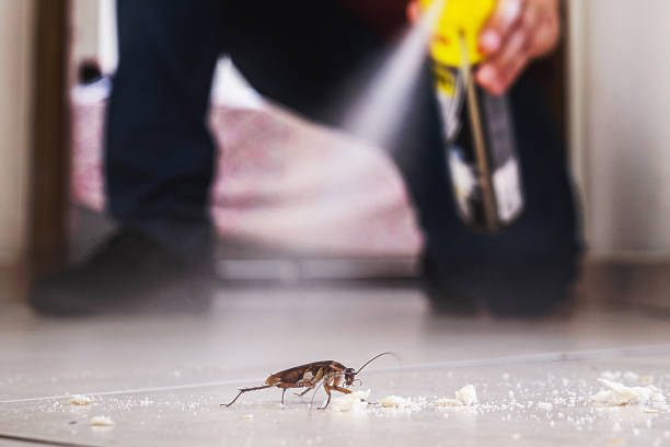 Best Insect Control  in Hermitage, PA