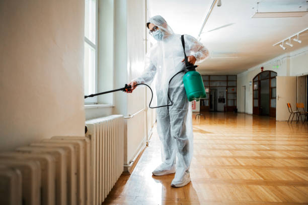 Best Affordable Pest Control Services  in Hermitage, PA
